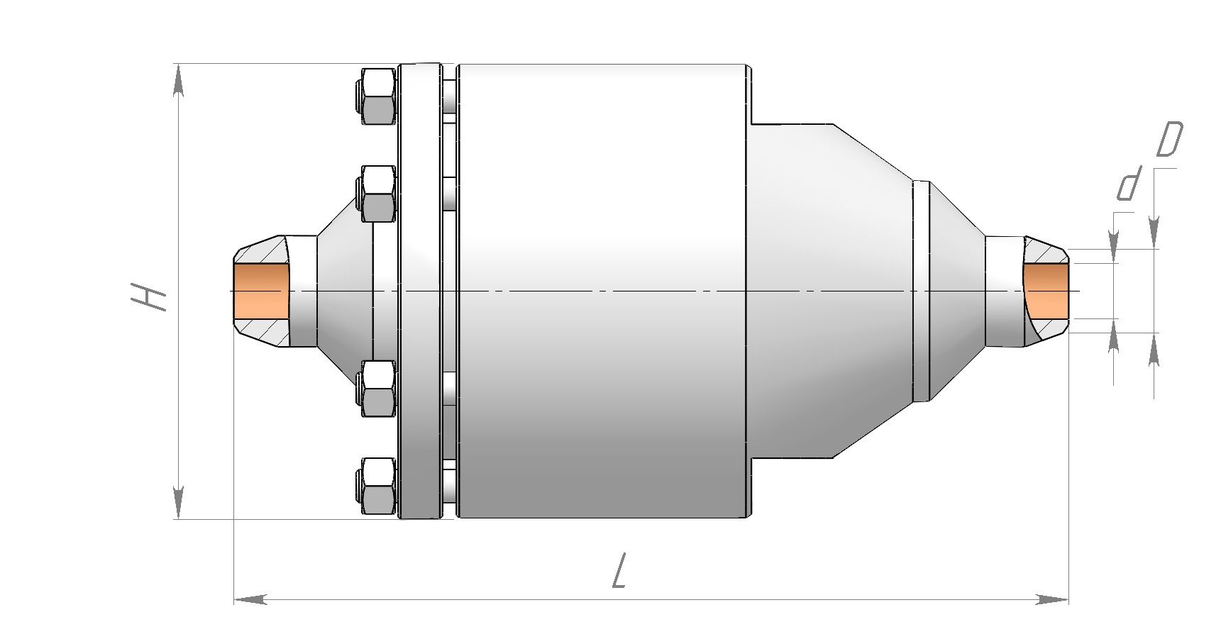 Axial valve Check valve amk.cv.as.20.120.250| Picture